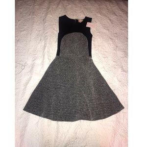 NWT Love...ady Gray and Black Nordstrom’s Dress